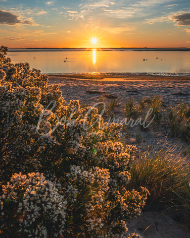 Chatham Harbor - Chatham, Cape Cod