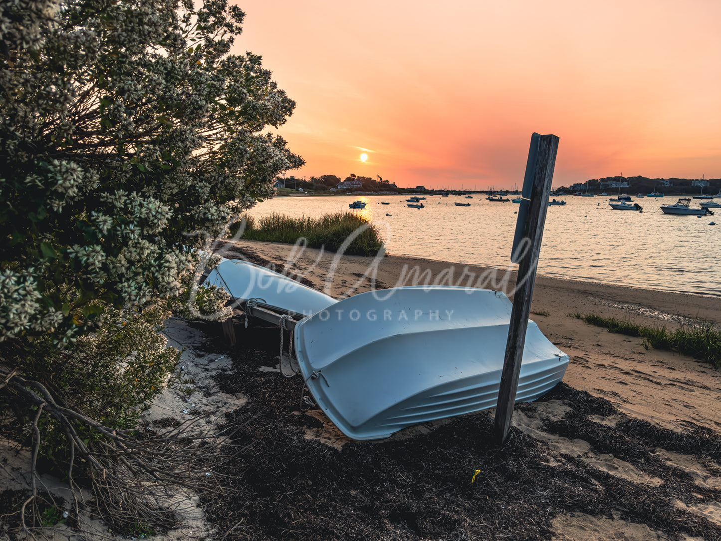 Chatham Harbor - Chatham, Cape Cod