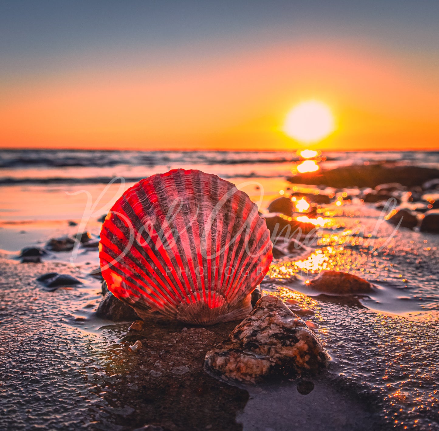 Chapin Beach - Dennis, Cape Cod