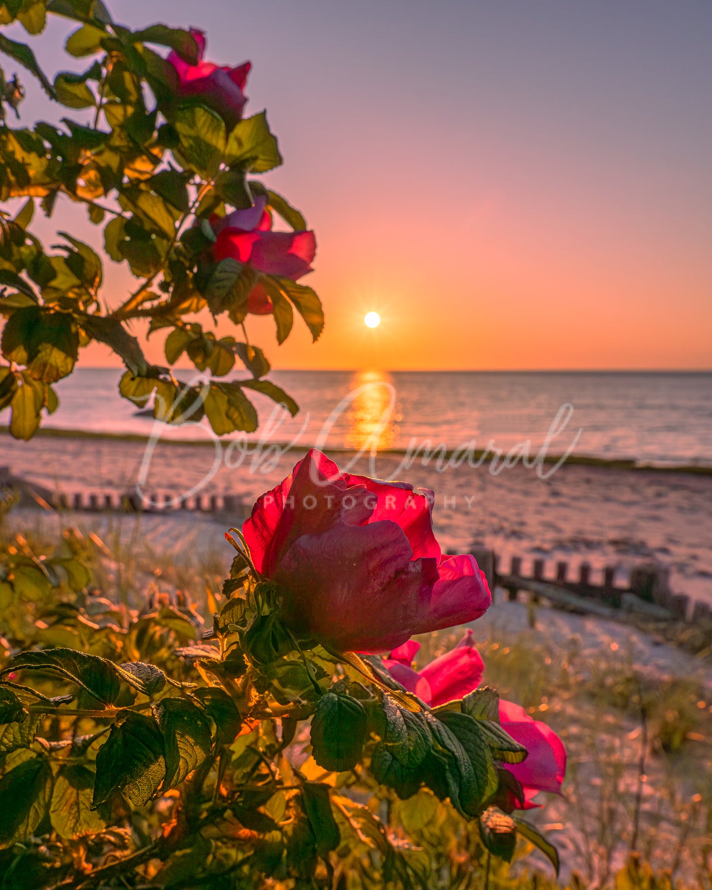 Breakwater Beach - Brewster, Cape Cod