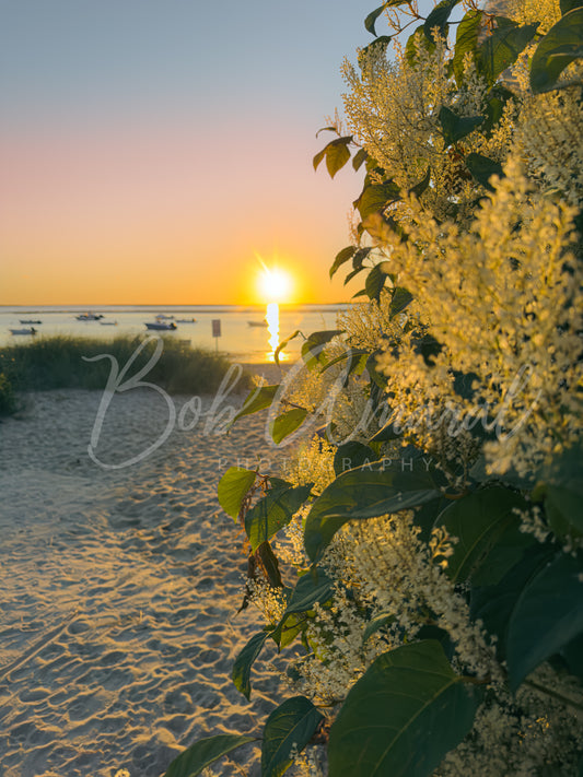 Chatham Harbor - Chatham, Cape Cod