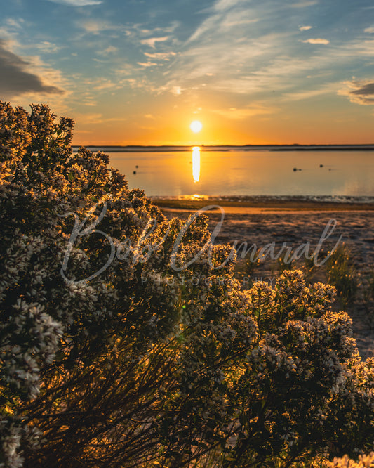 Chatham Harbor - Chatham, Cape Cod