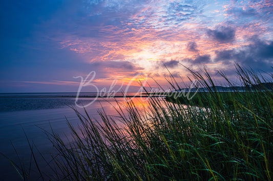 Paine's Creek - Brewster , Cape Cod