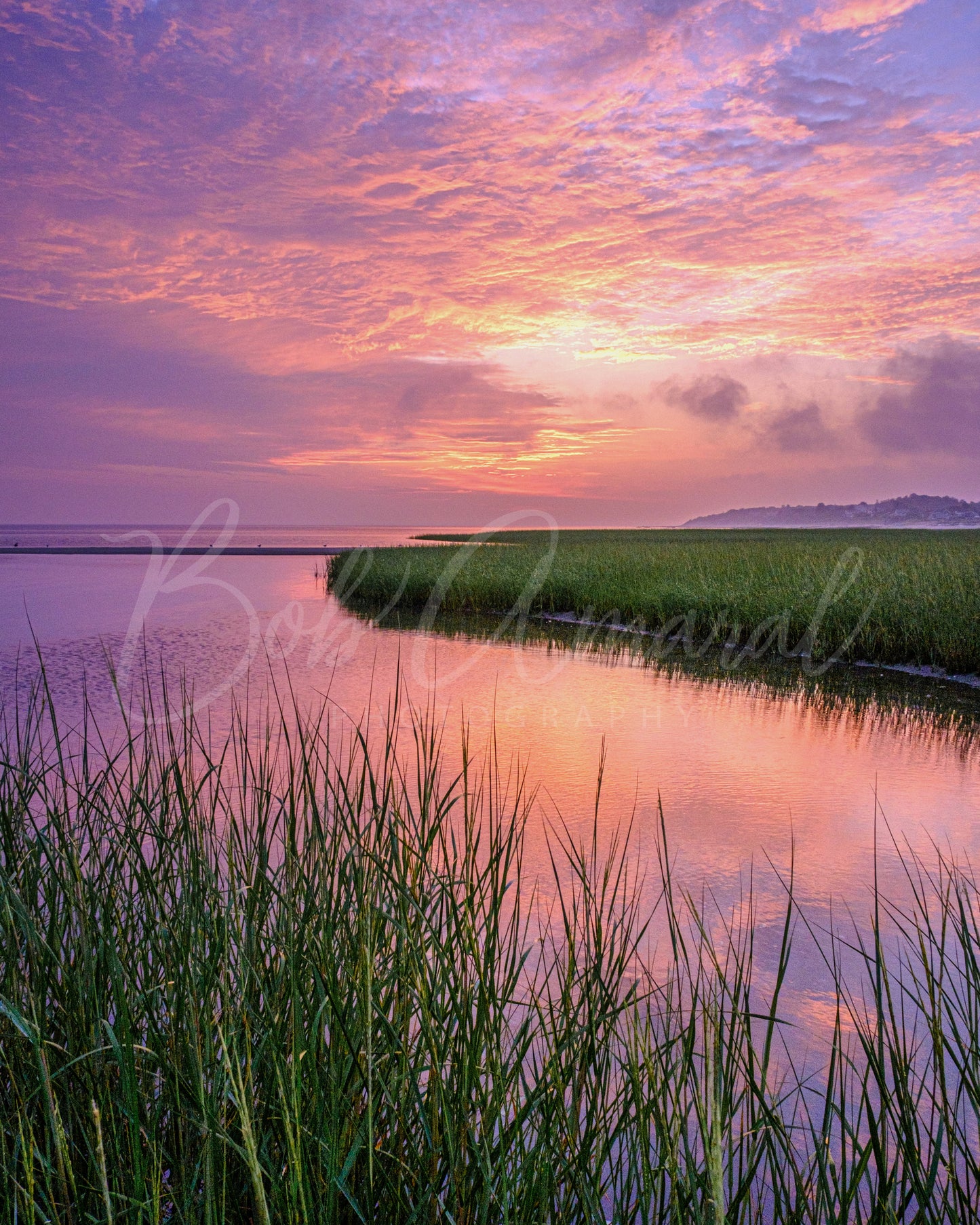 Paine's Creek - Brewster , Cape Cod