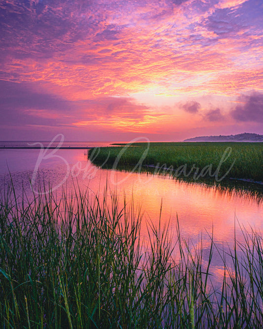 Paine's Creek - Brewster , Cape Cod