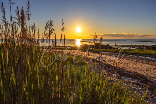 Breakwater Beach - Brewster, Cape Cod