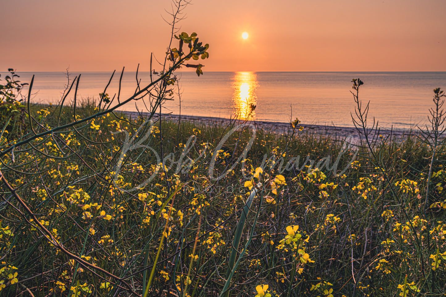 Breakwater Beach - Brewster, Cape Cod