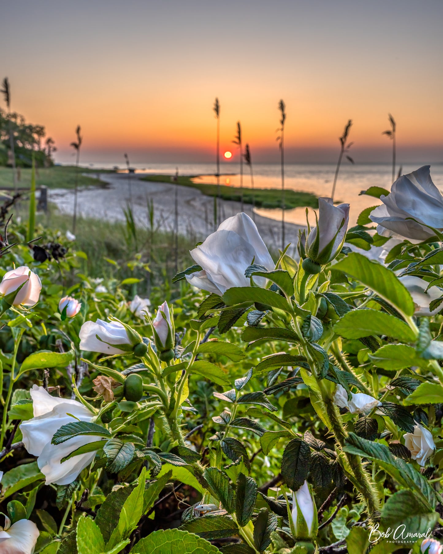 Breakwater Beach - Brewster, Cape Cod