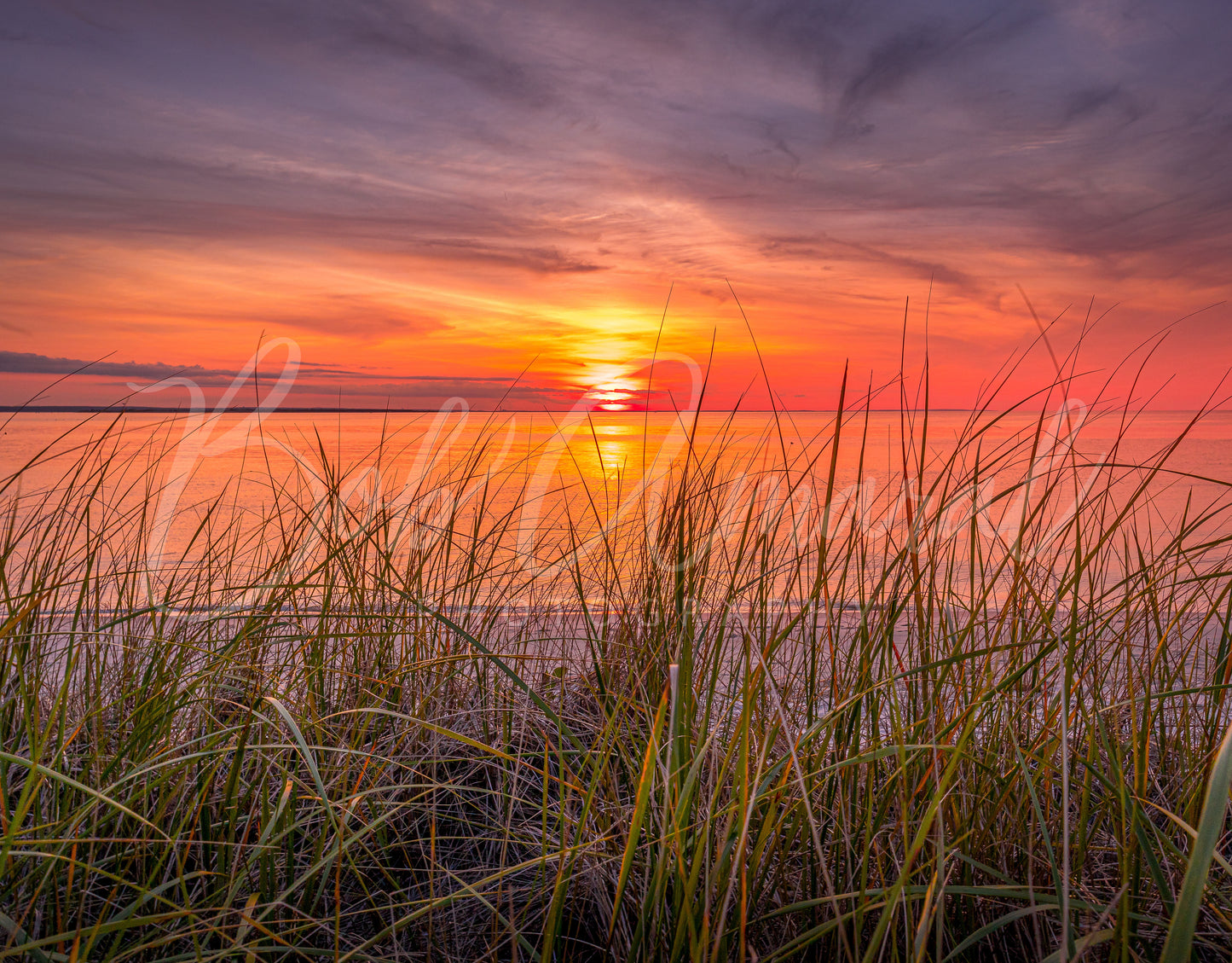 Chapin Beach - Dennis, Cape Cod