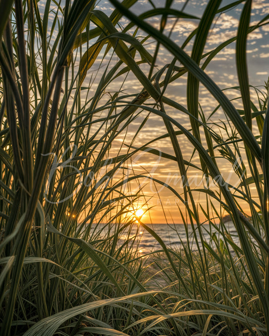 Breakwater Beach - Brewster, Cape Cod