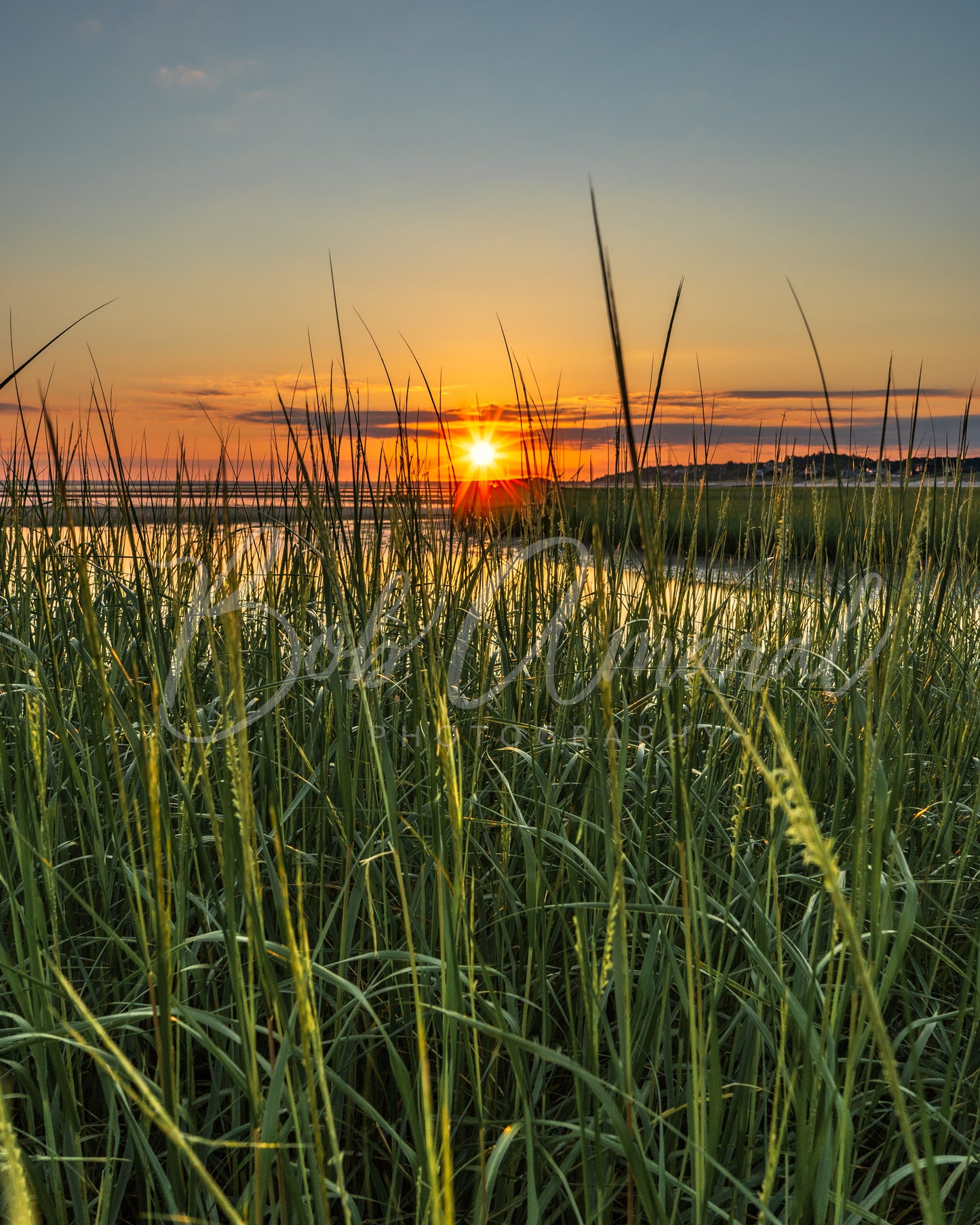 Paine's Creek - Brewster , Cape Cod