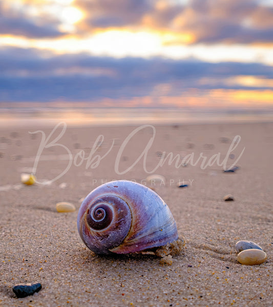 Nauset Beach - Orleans, Cape Cod