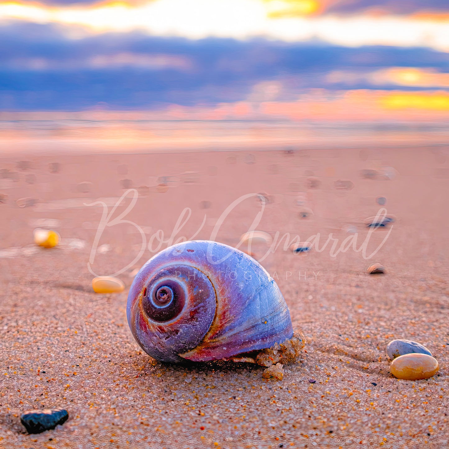 Nauset Beach - Orleans, Cape Cod
