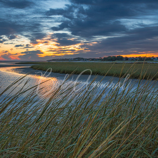 Paine's Creek - Brewster, Cape Cod