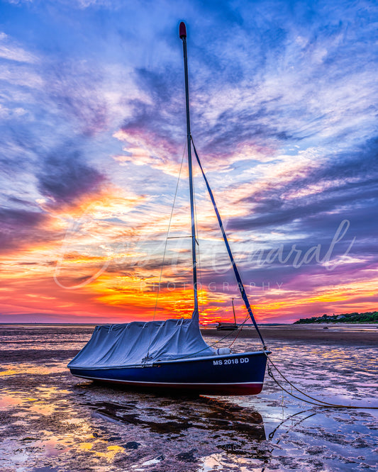 Paine's Creek - Brewster, Cape Cod