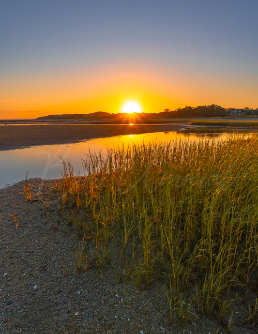 Paine's Creek - Brewster, Cape Cod