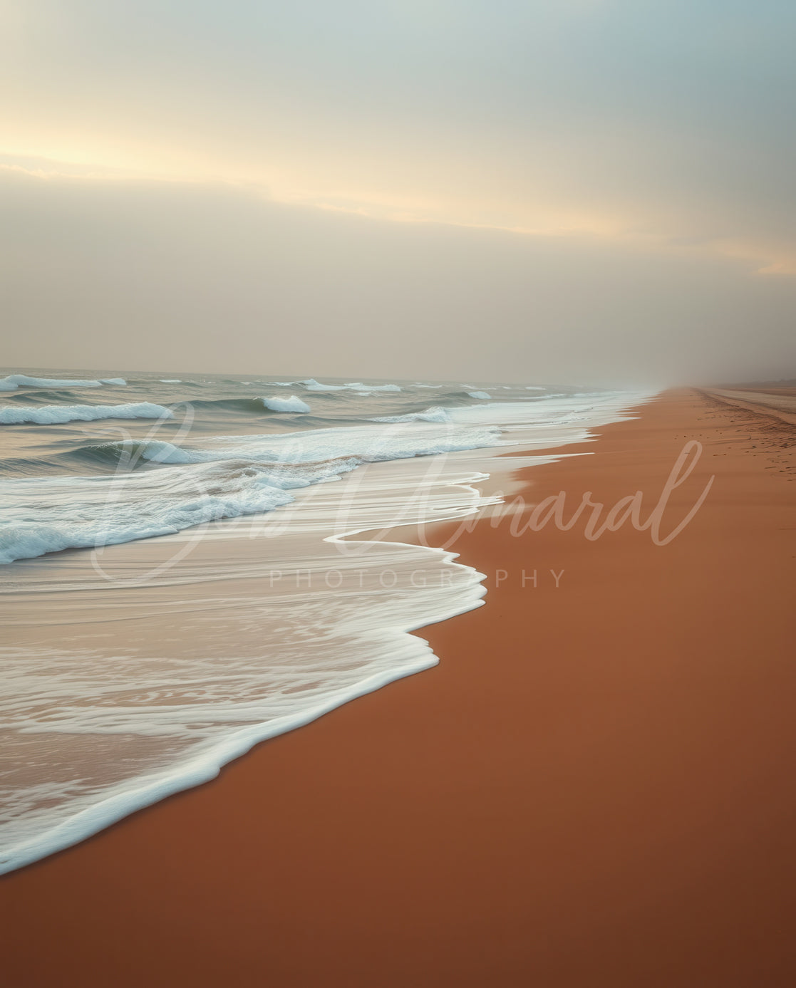 Nauset Beach - Orleans, Cape Cod