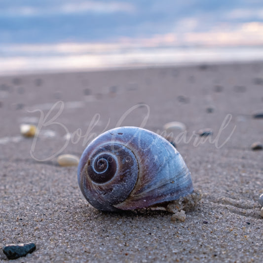 Nauset Beach - Orleans, Cape Cod
