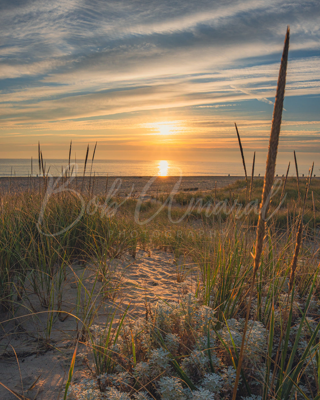 Nauset Beach - Orleans, Cape Cod
