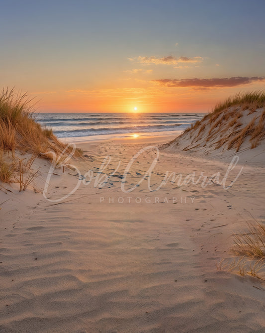 Coast Guard Beach - Eastham, Cape Cod