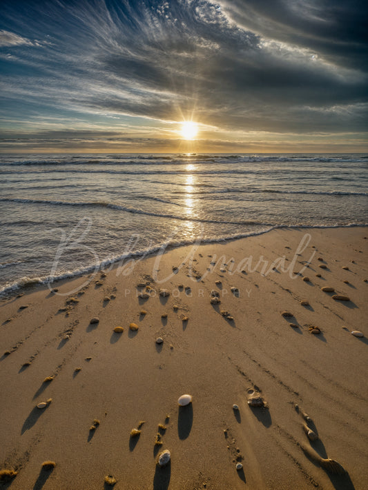 Nauset Beach- Orleans, Cape Cod