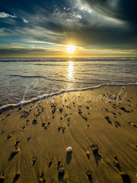 Nauset Beach- Orleans, Cape Cod