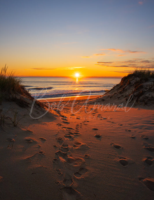 Coast Guard Beach - Eastham, Cape Cod