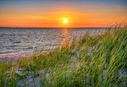 Chapin Beach - Dennis, Cape Cod