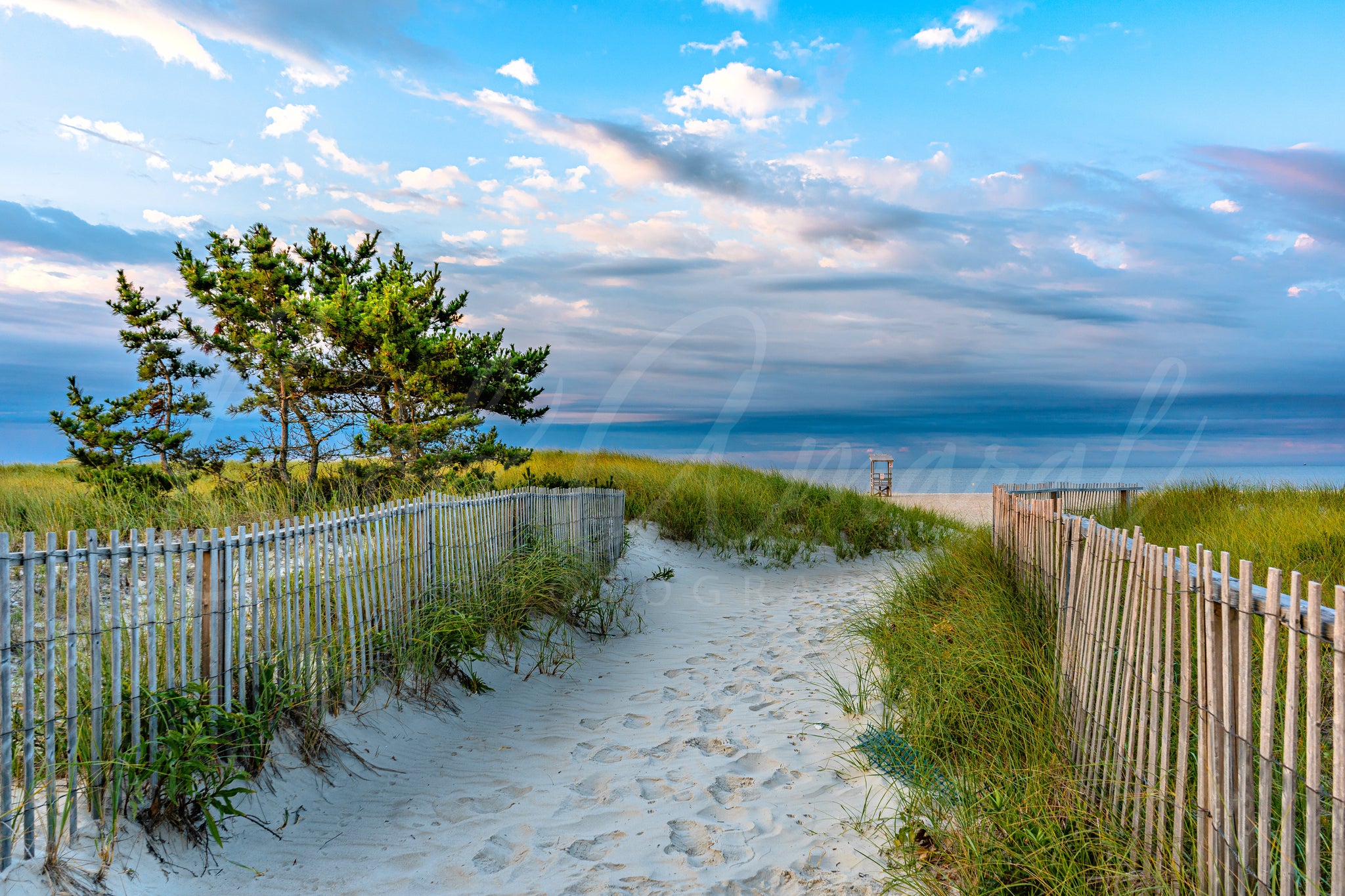 Seagull Beach- Yarmouth, Cape Cod