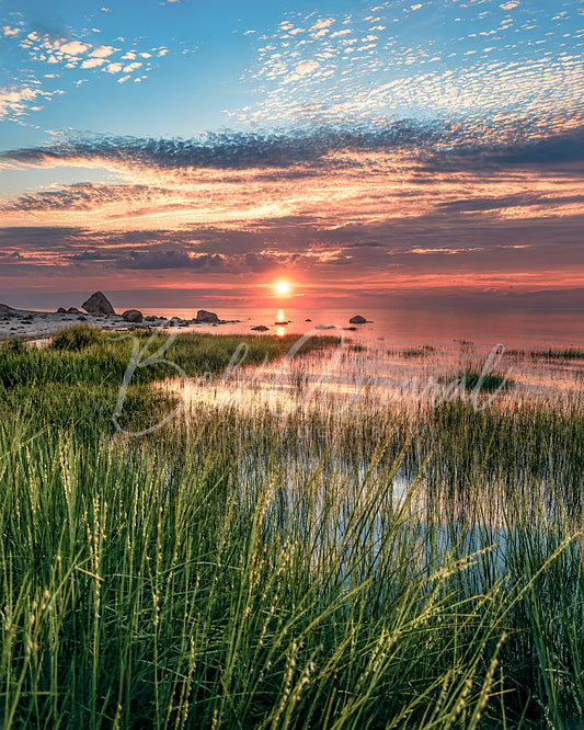 Crowes Pasture - Dennis, Cape Cod