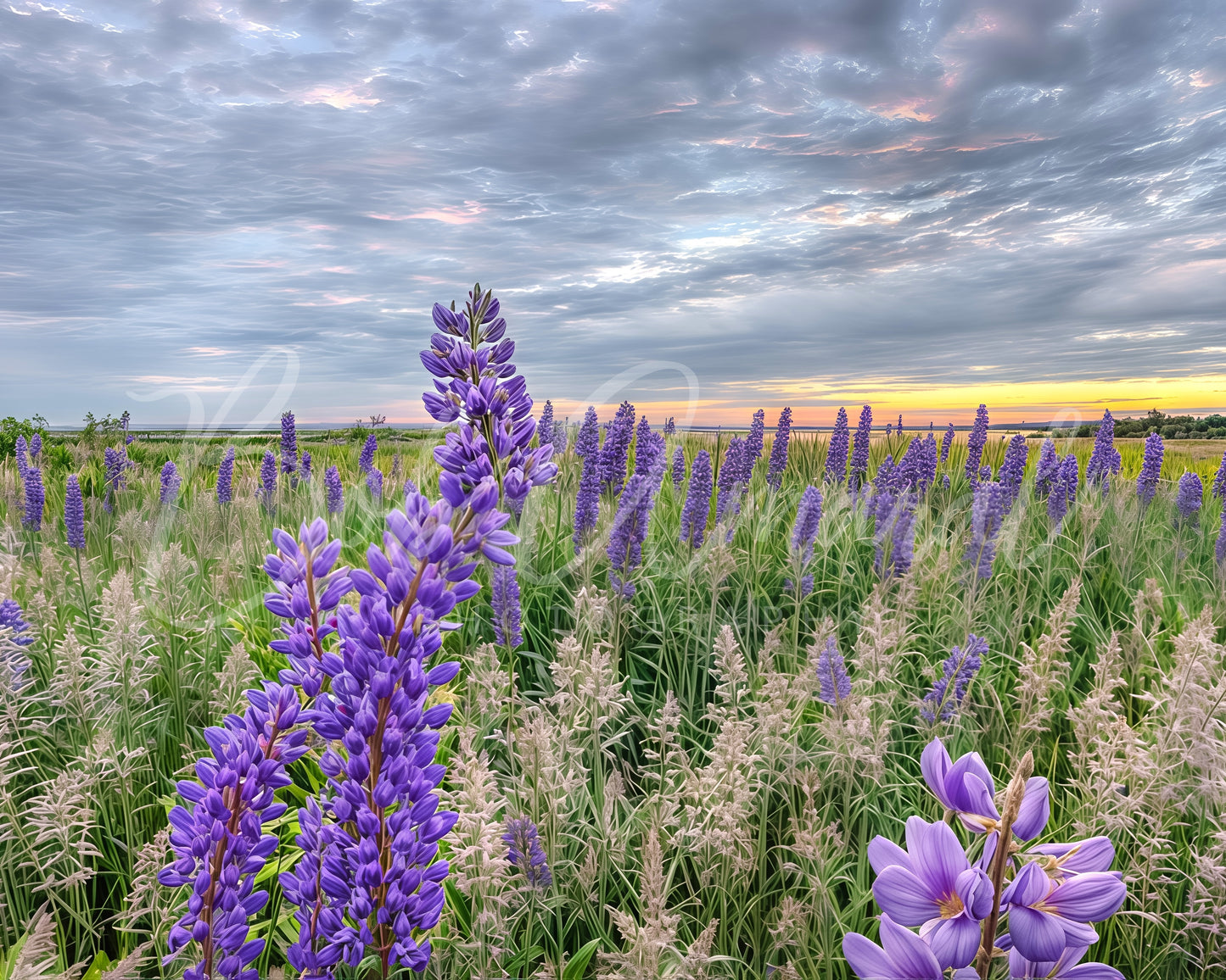 Fort Hill - Eastham, Cape Cod