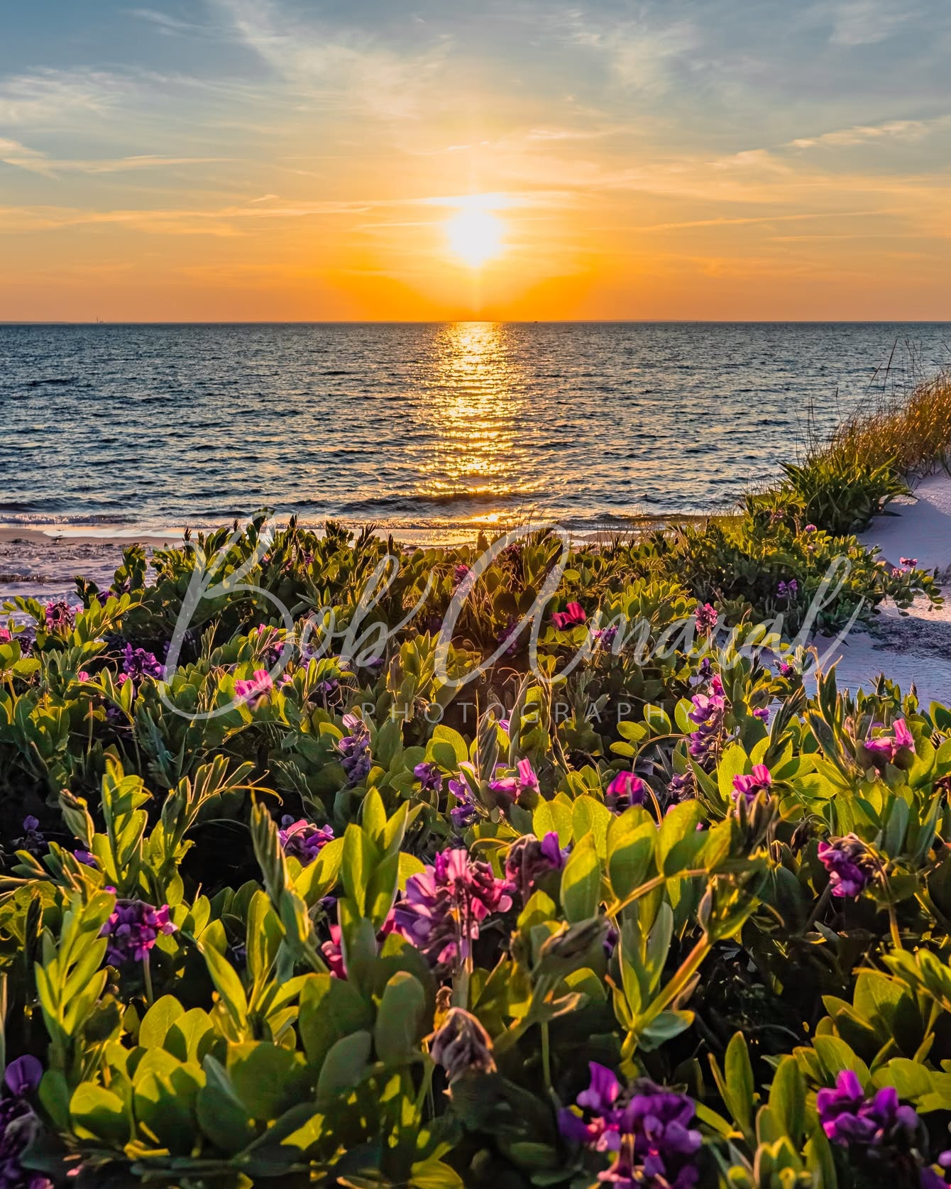 Chapin Beach - Dennis, Cape Cod