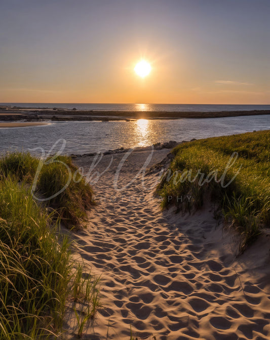 Cold Storage/Sesuit Beach - Dennis, Cape Cod