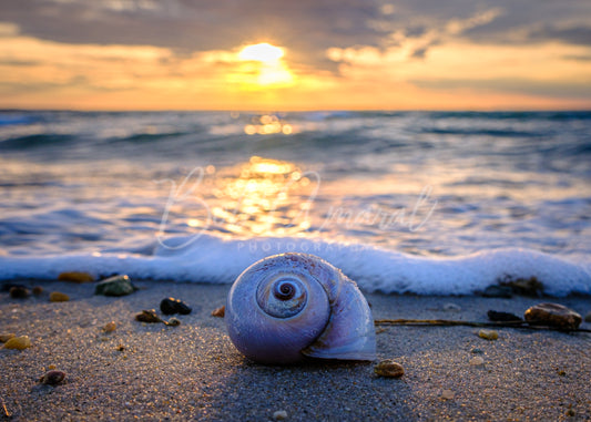 Chapin Beach - Dennis, Cape Cod