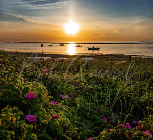 Chatham Harbor- Chatham, Cape Cod