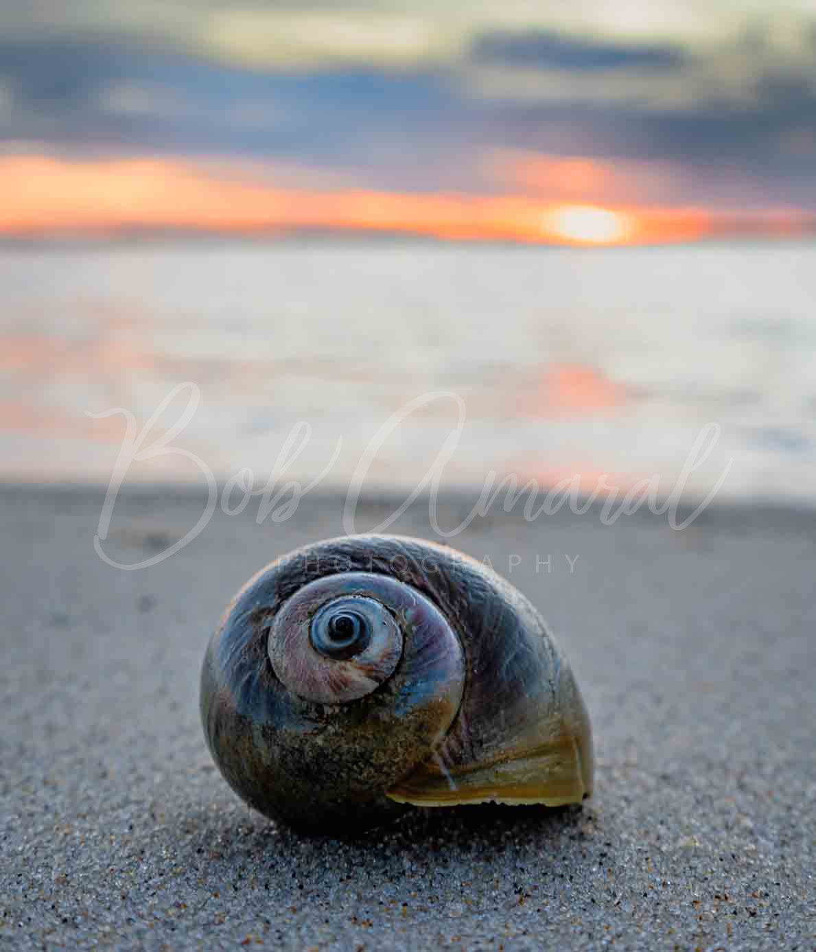 Lighthouse Beach- Chatham, Cape Cod
