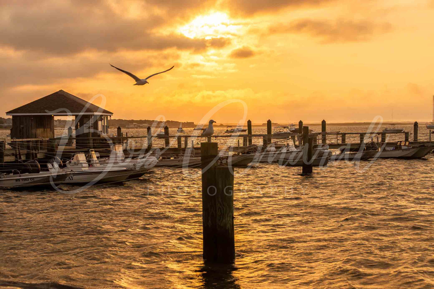 Eugenia Fortes Beach - Hyannis, Cape Cod