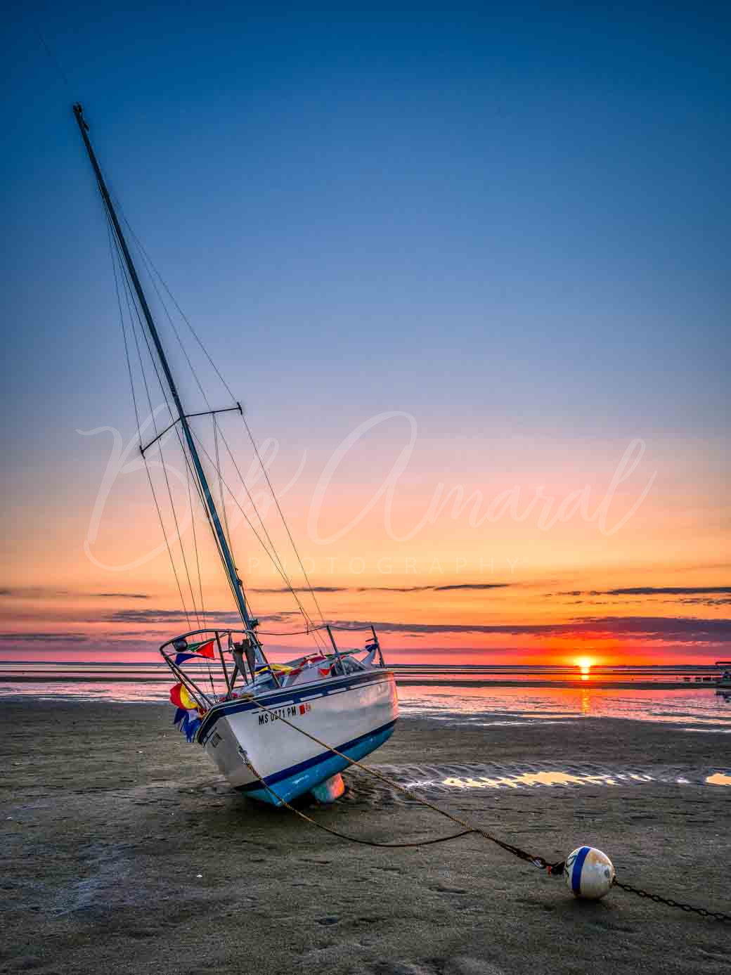 Paines Creek - Brewster , Cape Cod