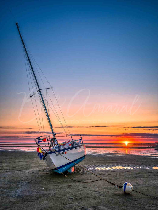 Paines Creek - Brewster , Cape Cod