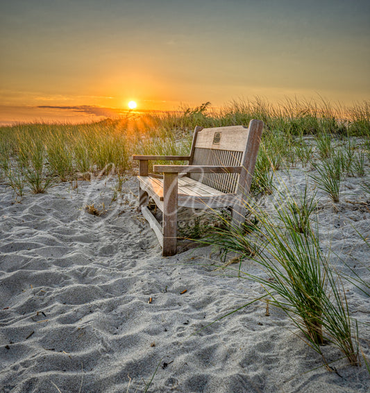 Paine's Creek - Brewster, Cape Cod