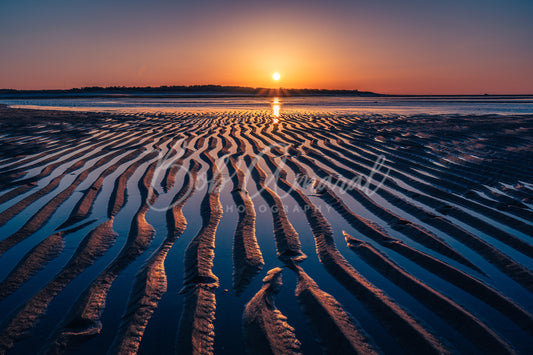 Wing Island - Brewster, Cape Cod