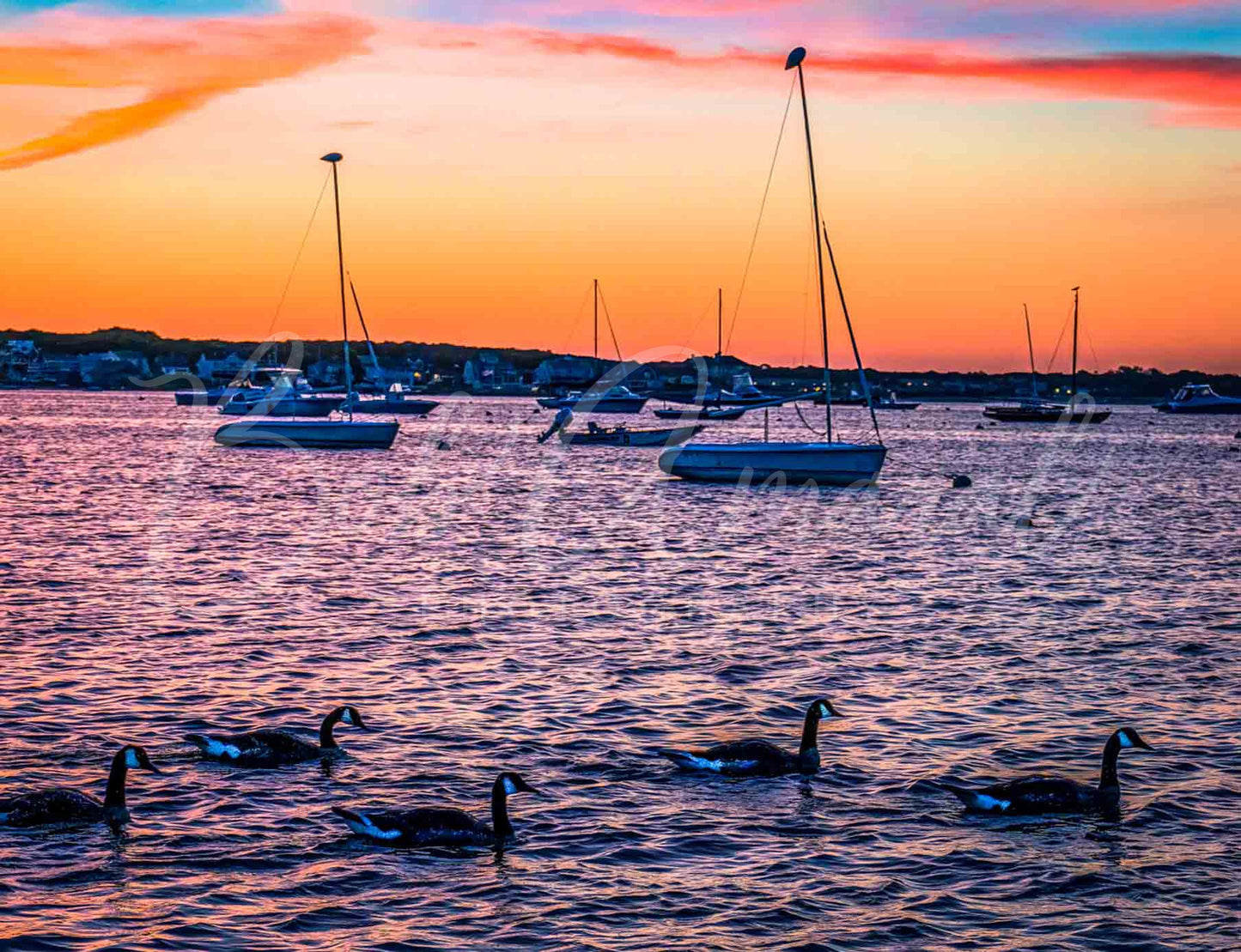 Veterans Memorial Park - Hyannis, Cape Cod