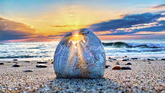 Nauset Beach- Orleans, Cape Cod