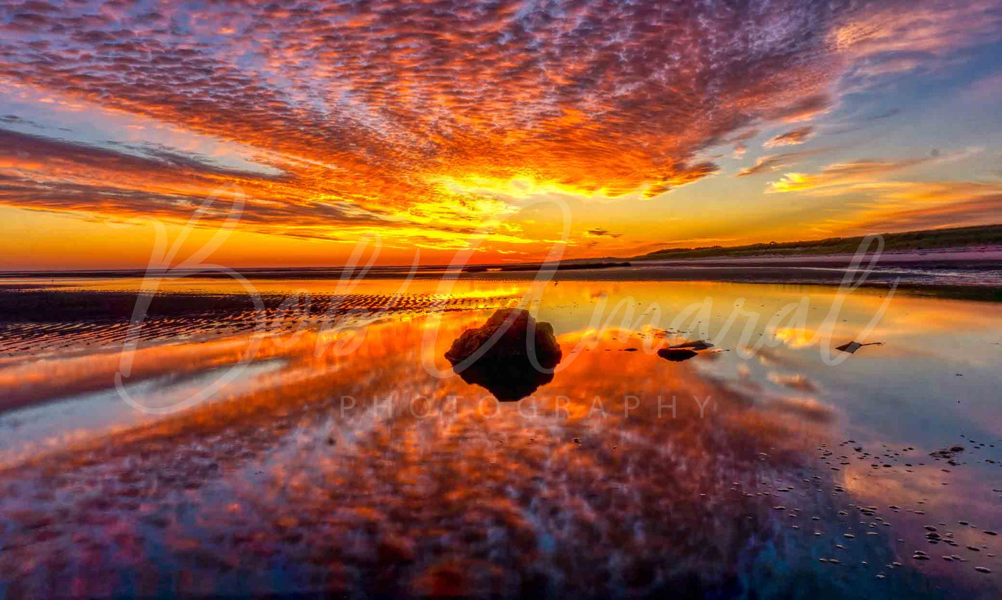 Cold Storage Beach - Dennis, Cape Cod