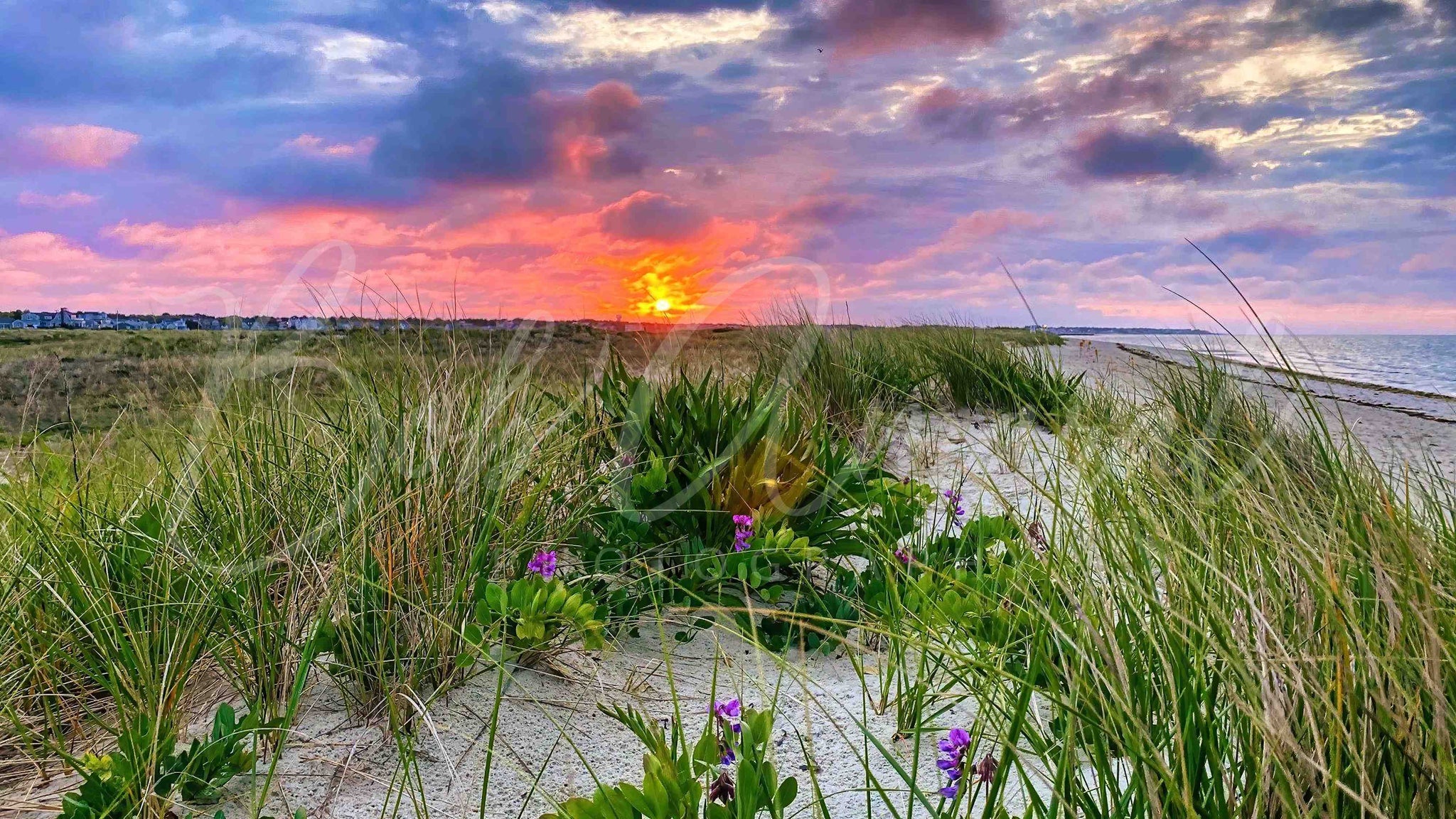 West Dennis Beach Dennis, Cape Cod Bob Amaral Photography