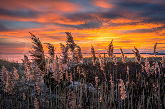 Colonial Acres Beach- Yarmouth, Cape Cod