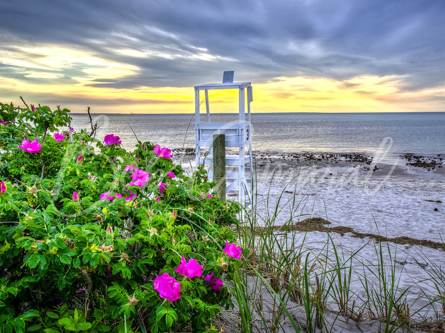 Chapin Beach - Dennis, Cape Cod