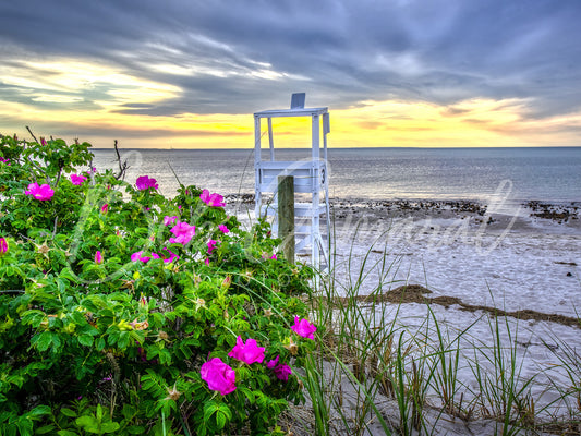 Chapin Beach - Dennis, Cape Cod