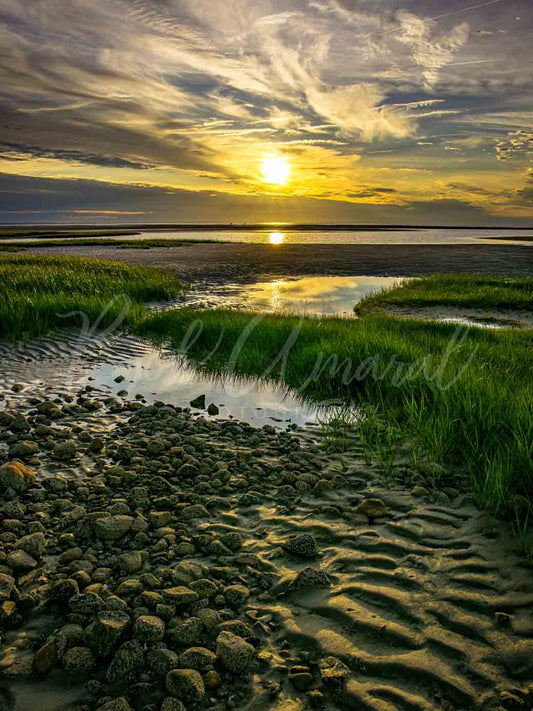 Chapin Beach - Dennis, Cape Cod