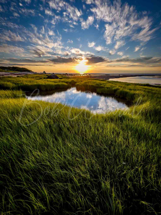 Sea Street Beach - East Dennis, Cape Cod